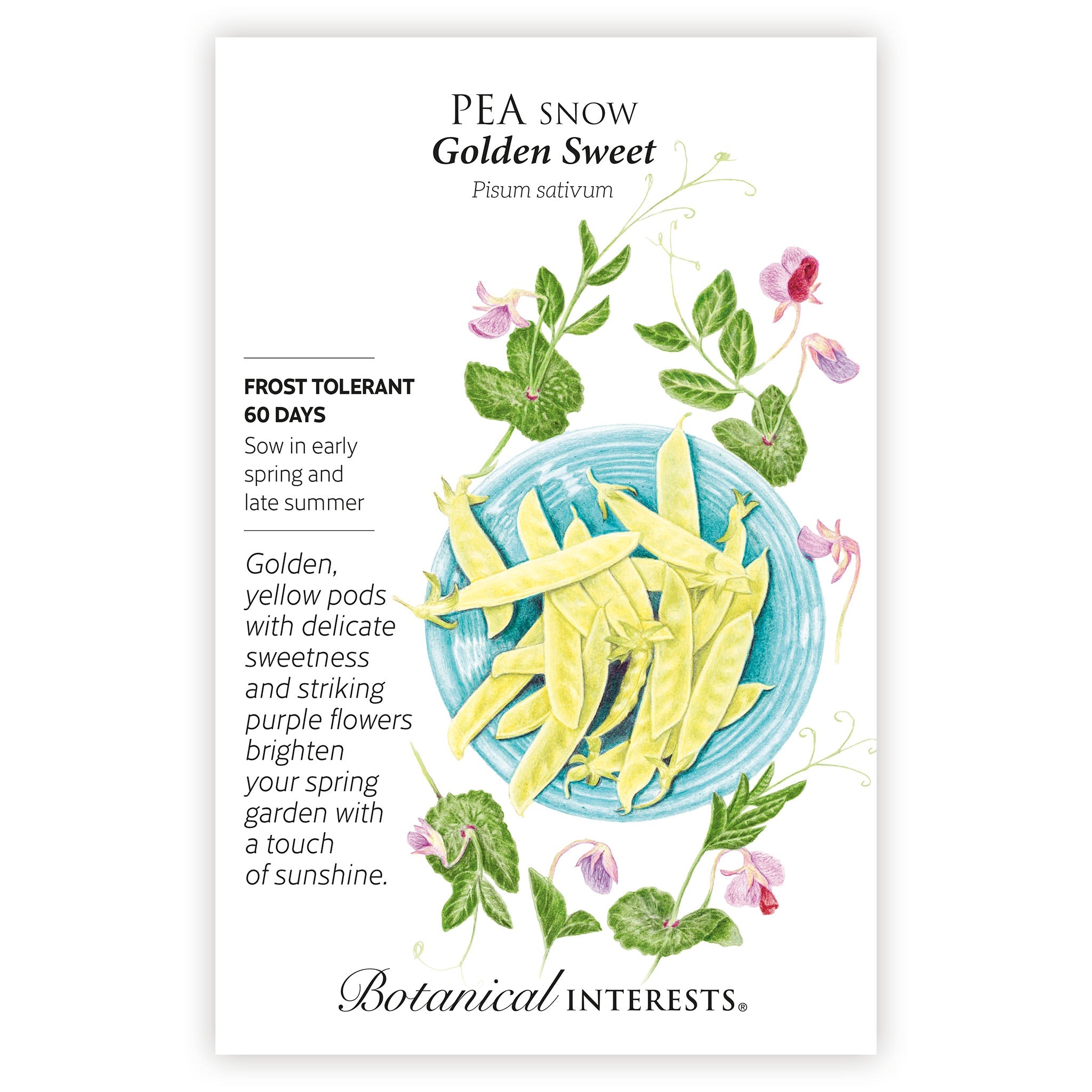 2027 New Varieties Seed Bundle