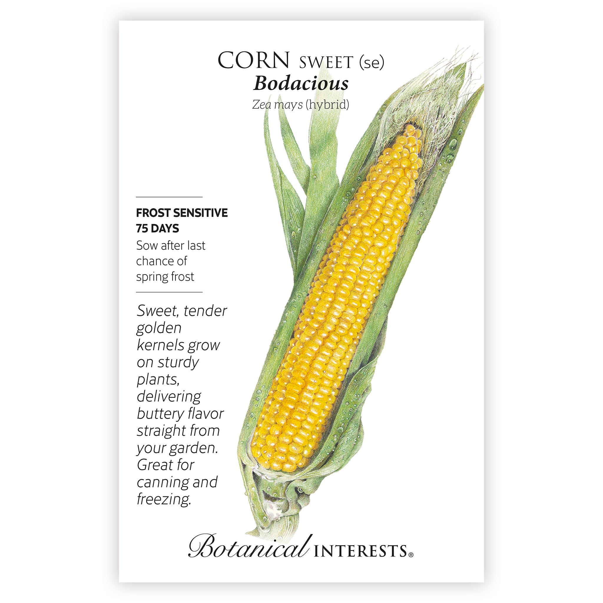 2027 New Varieties Seed Bundle