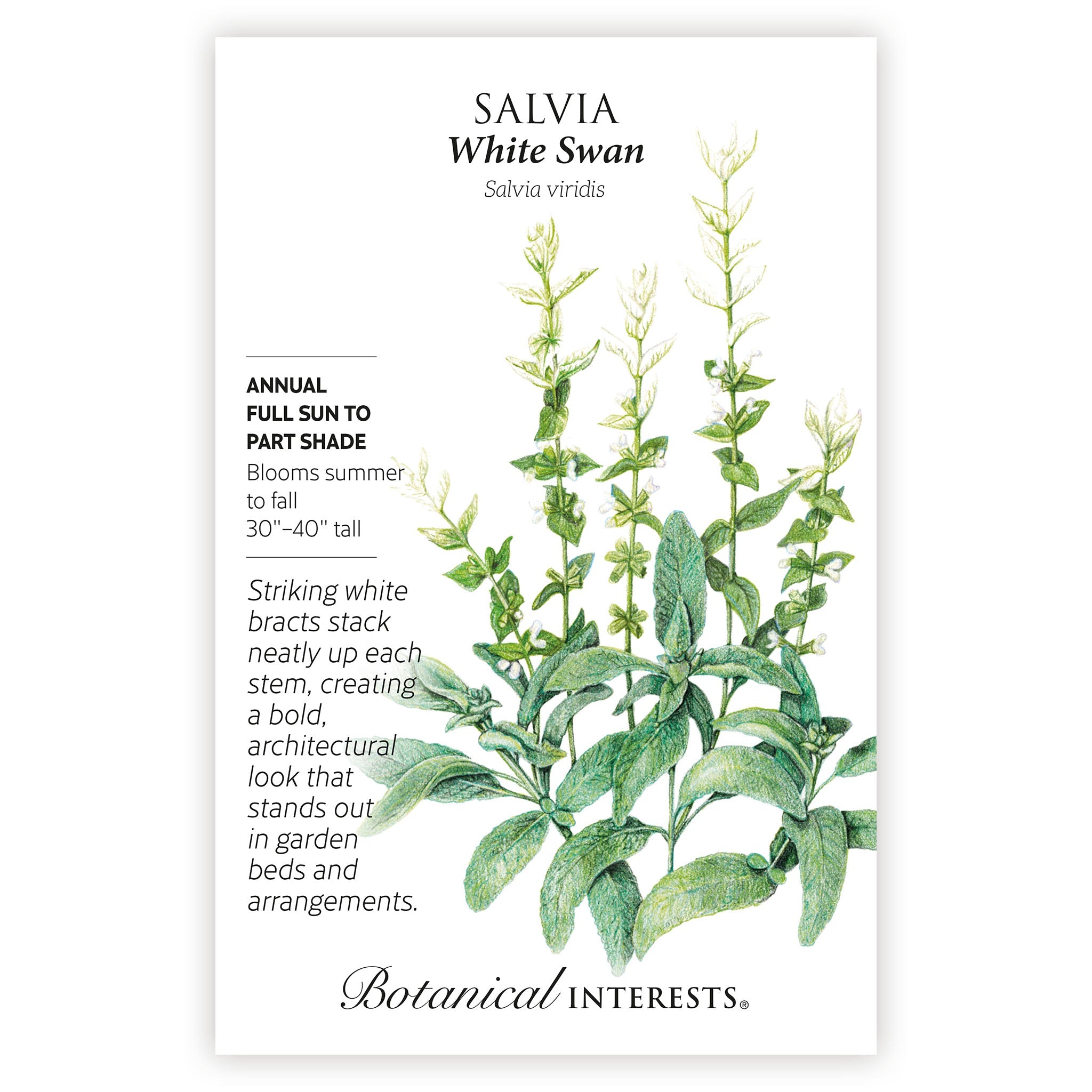 2027 New Varieties Seed Bundle