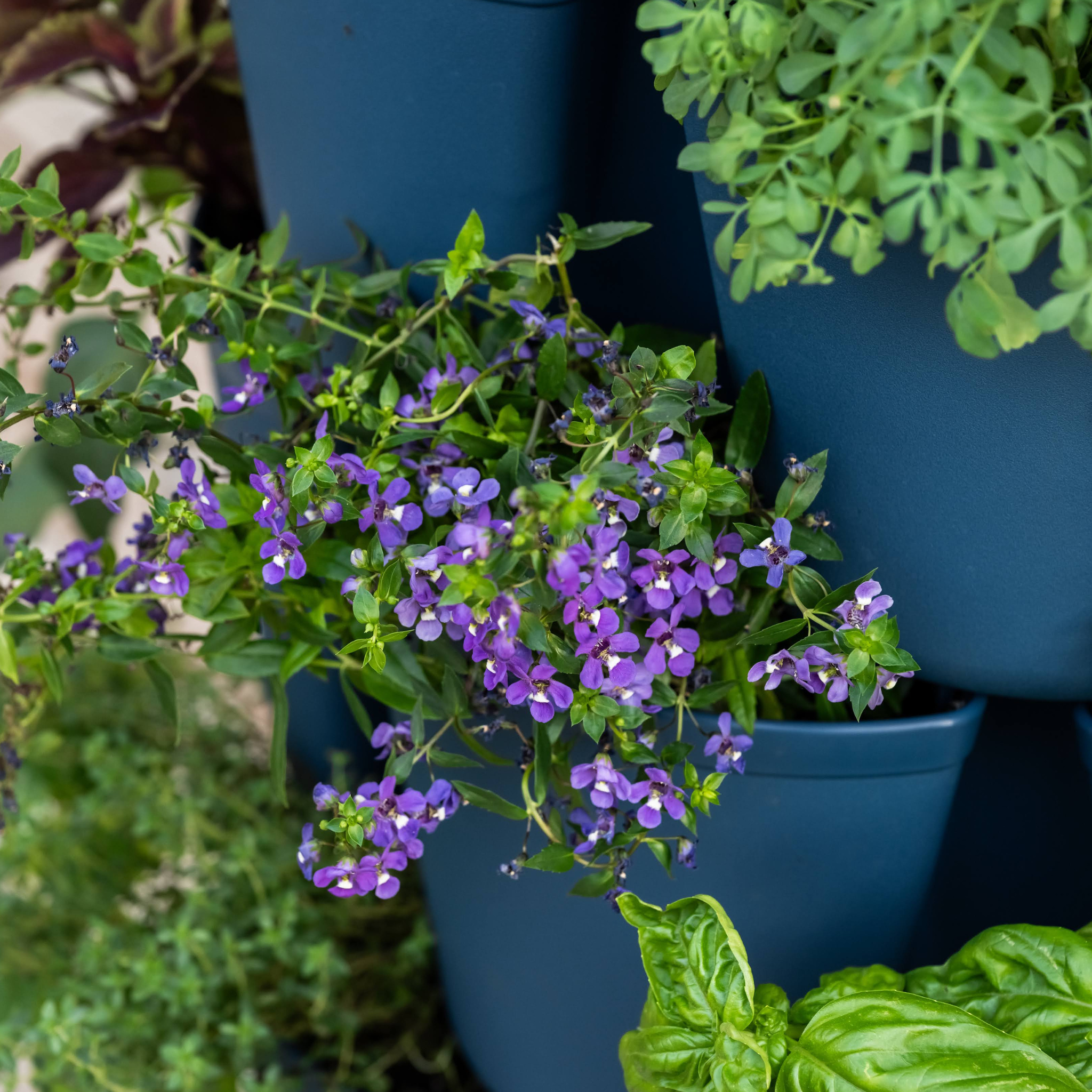 GreenStalk 5-Tier Vertical Planter