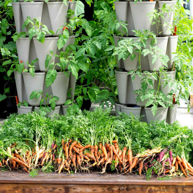 GreenStalk 5-Tier Vertical Planter