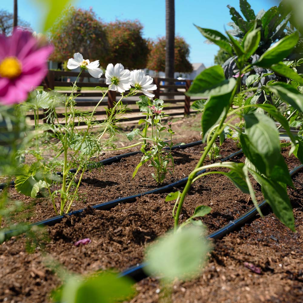 Epic Garden Watering System: Starter Kit